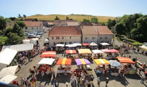 Découvrez-le-marche-de-la-myrtille-en-ardeche