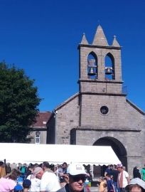 Marché de la myrtille - Mézilhac