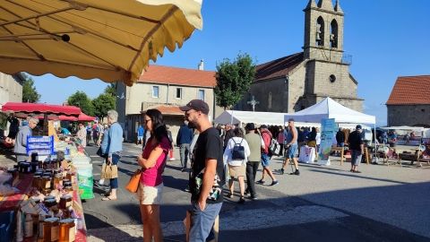 Marché de la myrtille sauvage Mézilhac