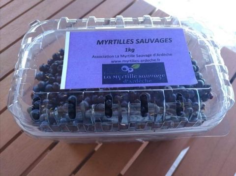 Vente de myrtilles sauvages fraîches